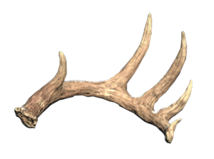 FO76 Antler - large left.png