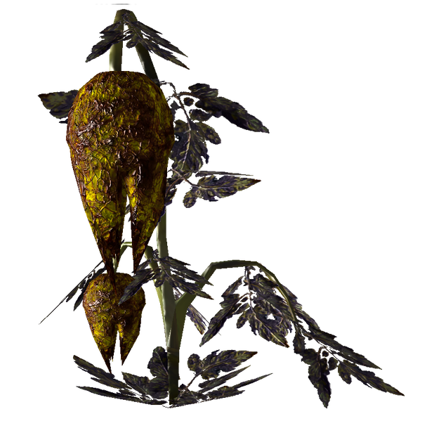 Datei:Wild Punga.png