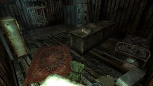 Grandma Sparkle's shack.jpg