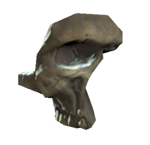 Skull faceplate.png