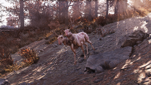 FO76 Majestic observant lad 1.png