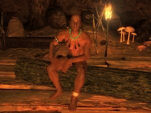 White Bird in cave.jpg