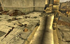 FNV Ranger holodisk.jpg