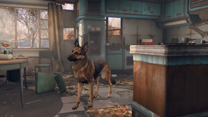 DogFO4.png