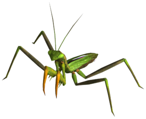 Giant mantis.png