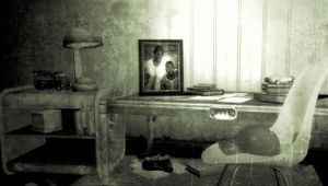 FO3 picture AA male endslide.jpg