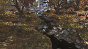 FO76 Flatwoods River 7.png