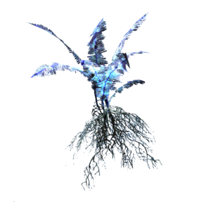 Experimental plant.png
