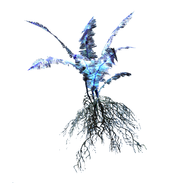 Datei:Experimental plant.png