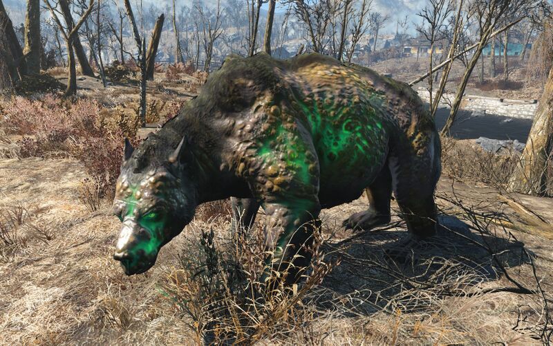 Datei:Fo4 glowing yao guai.jpg