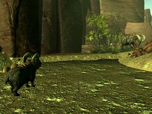 Mama and calf rejoined.jpg