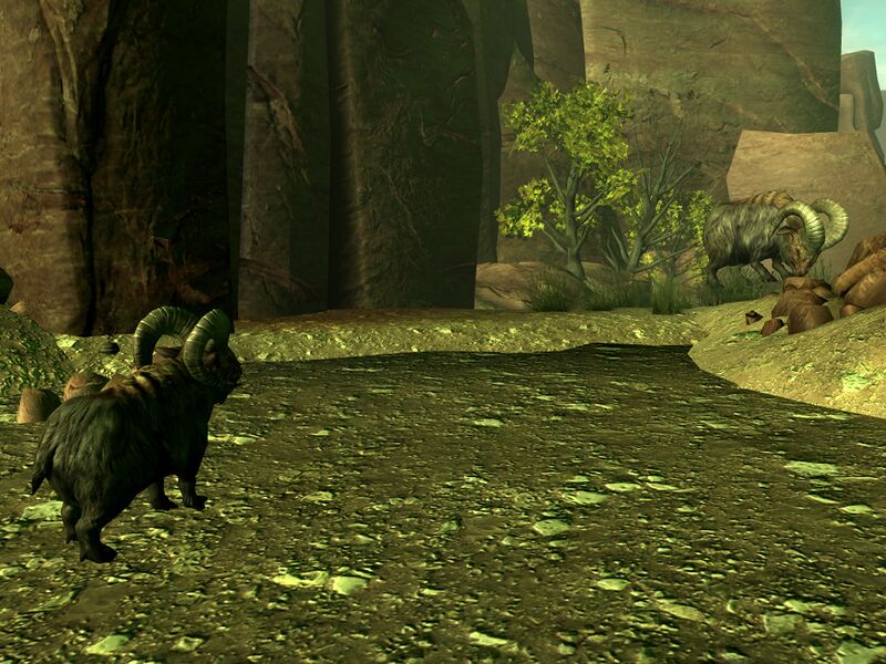 Datei:Mama and calf rejoined.jpg