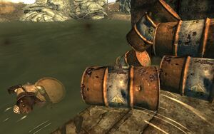 Hilltop Farm ruins Dean's Electronics.jpg