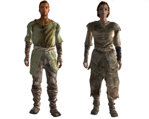 Wasteland settler outfit.png
