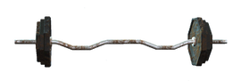 80lb curlbar.png