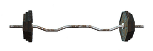 80lb curlbar.png