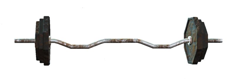 Datei:80lb curlbar.png
