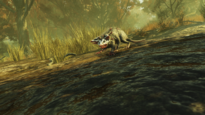 FO76 2121 Possum 1.png