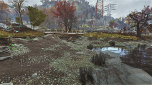 FO76 Flatwoods River 3.png