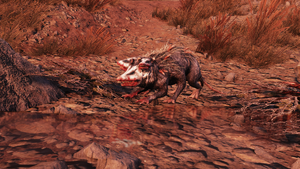 FO76 101021 Location 22.png