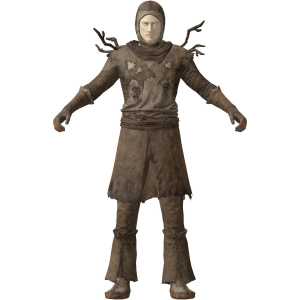 Datei:FO76 apparel outfit cultistadept.webp