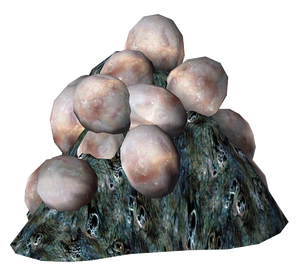 Mirelurk Eggs.png