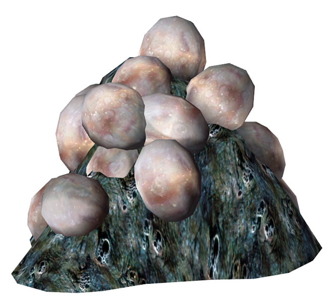 Datei:Mirelurk Eggs.png