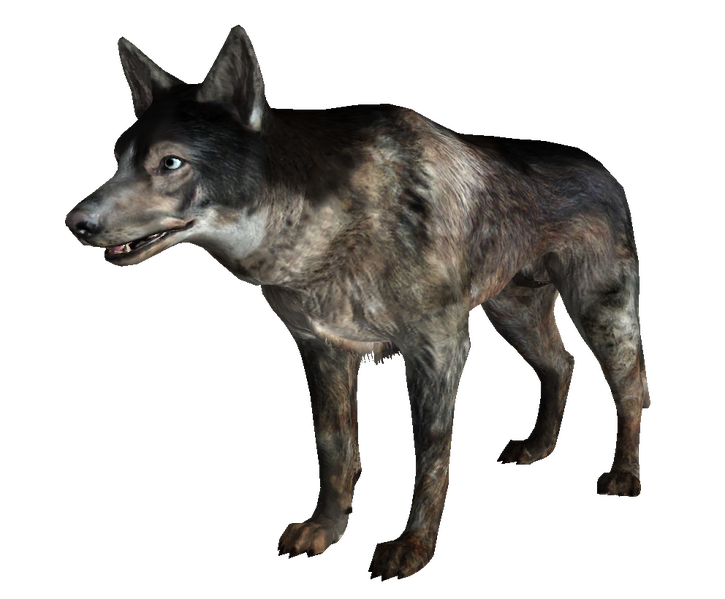 Datei:Dog FO3.png