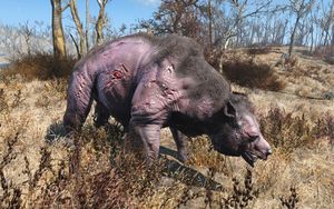 Fo4 shaggy yao guai.jpg