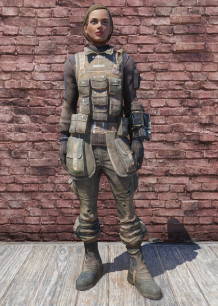 Datei:FO76 Brotherhood Fatigues.png