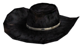 Desperado cowboy hat.png