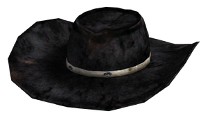 Desperado cowboy hat.png