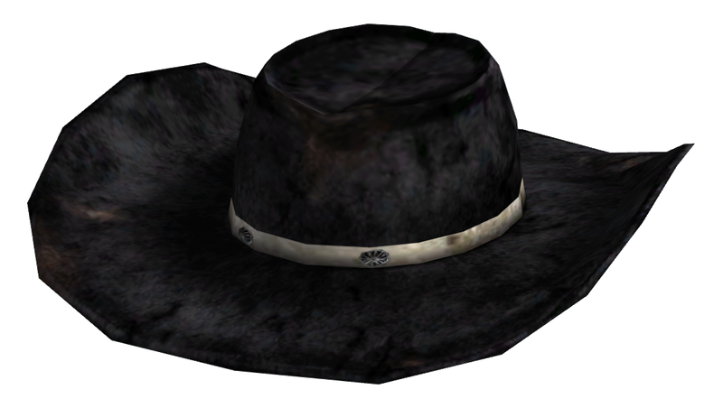Datei:Desperado cowboy hat.png