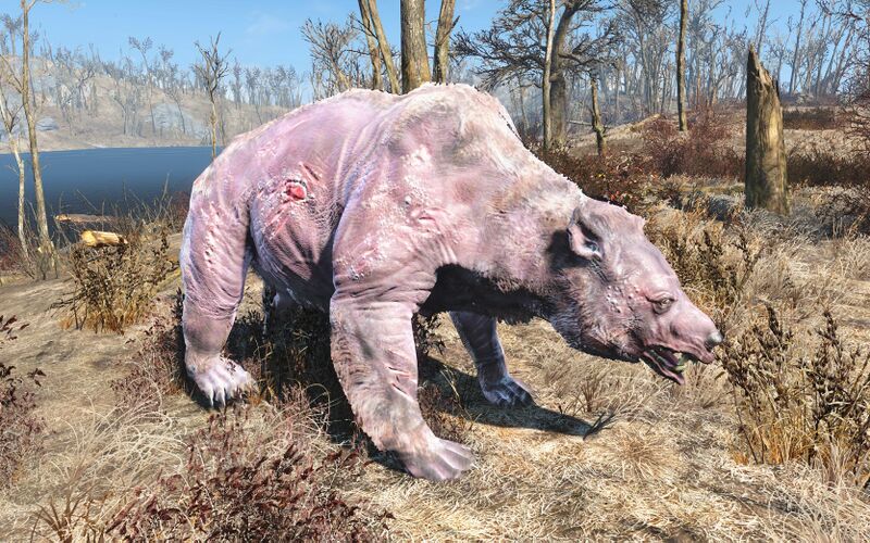 Datei:Fo4 albino yao guai.jpg