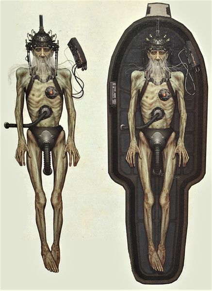 Datei:FNV Collect Edition 42.jpg