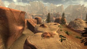 HS Helena w27 pic5v3.jpg