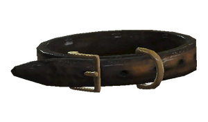 Dog collar.png