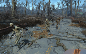 FO4 Herd of ghouls.png