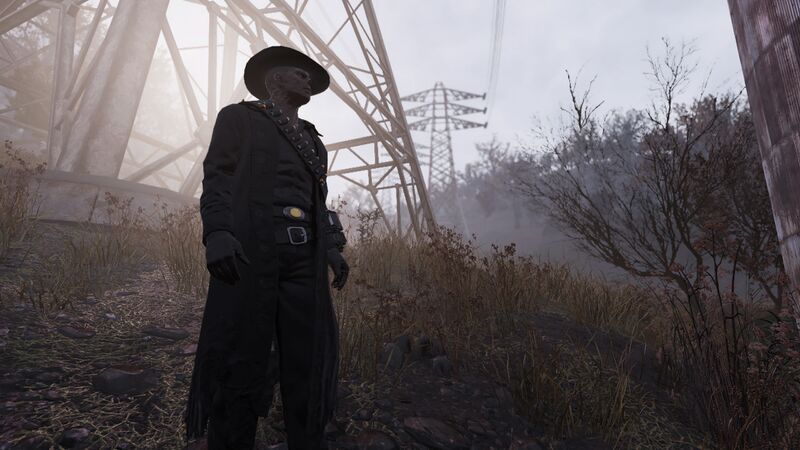 Datei:FO76 The Ghoul outfit (11).jpg