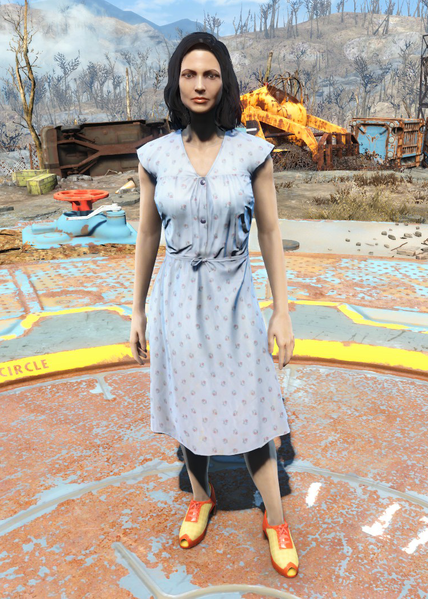Datei:Fo4Laundered Blue Dress.png